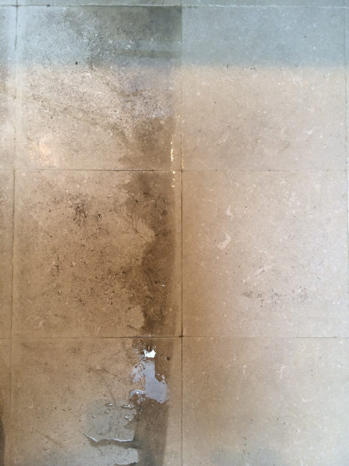 Tile And Grout Services Prestige Grout