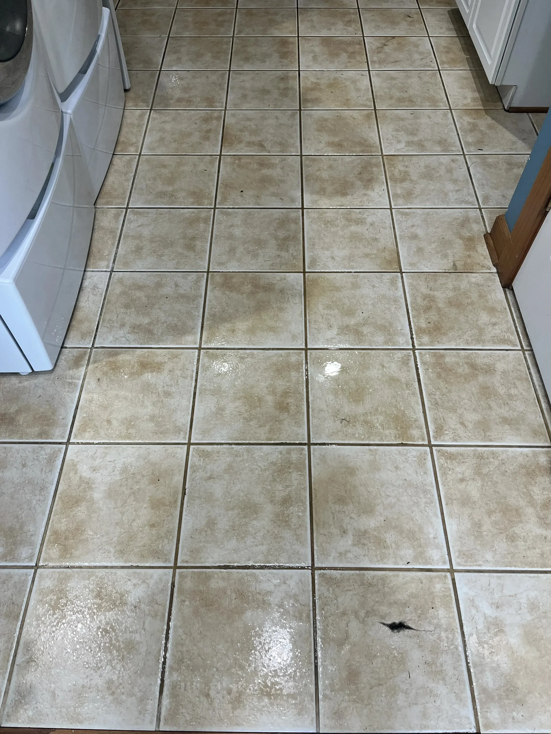 grout-tile-cleaning_9_before