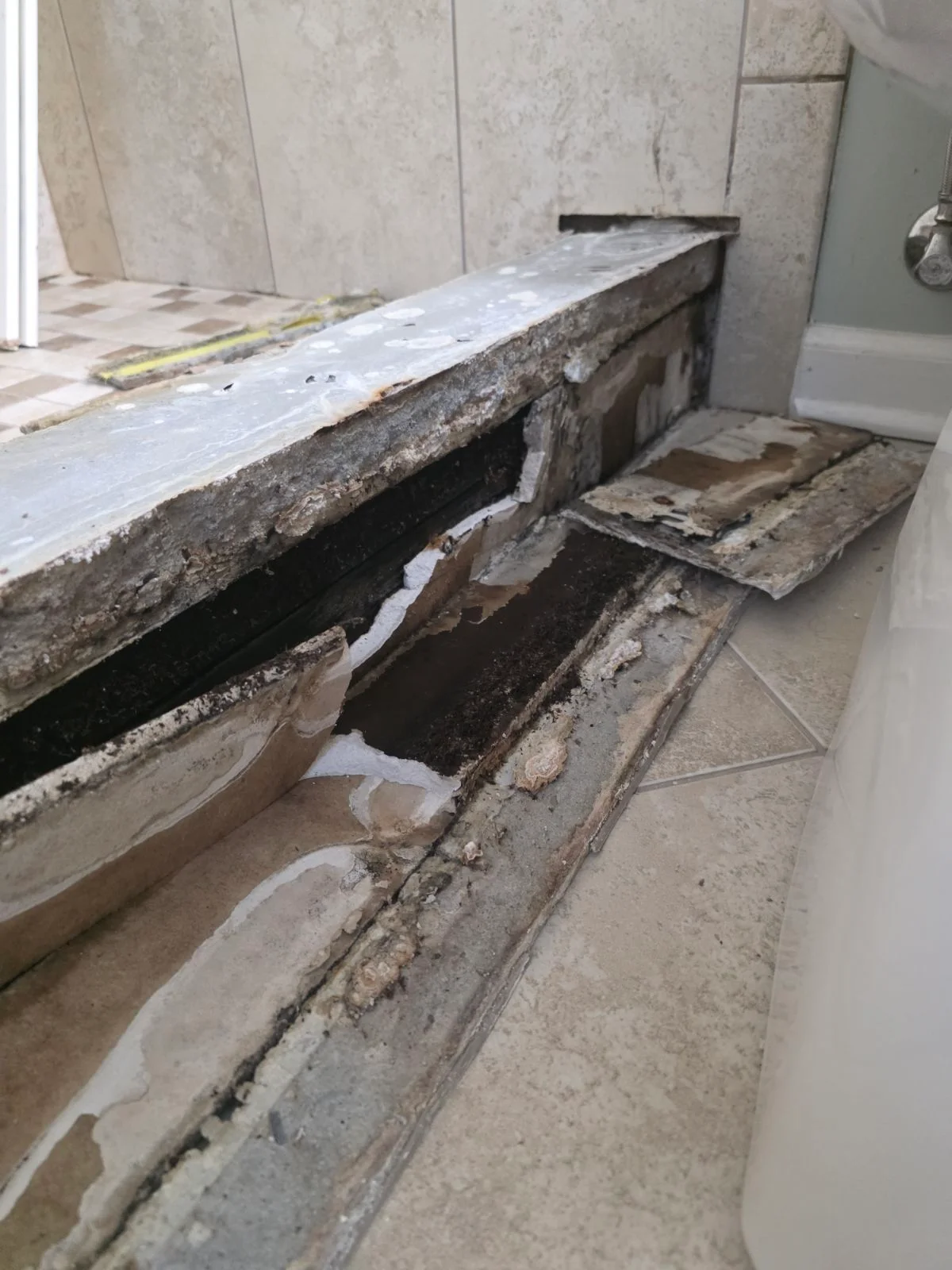 shower-restoration-repair_2_before